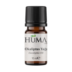 Eucalyptus Oil 10 ml - HumaLiva