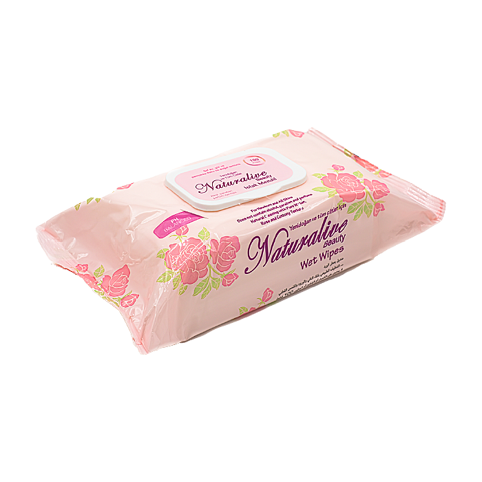 Wet Wipes 100 Pieces - 1